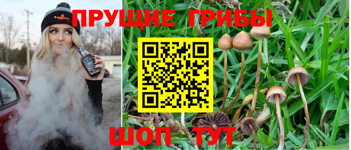 Галлюциногенные грибы MAGIC MUSHROOMS Астрахань
