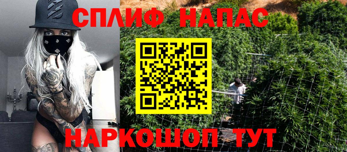 Шишки марихуана конопля  Бошки марихуана OG Kush  Астрахань  Каннабис план  Каннабис ГИДРОПОН  Вход с VPN 